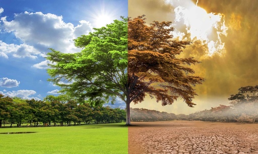 Climate Change kwa Ground! - Training Course